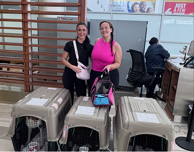 Learn About Our Upcoming Rescue Flight!